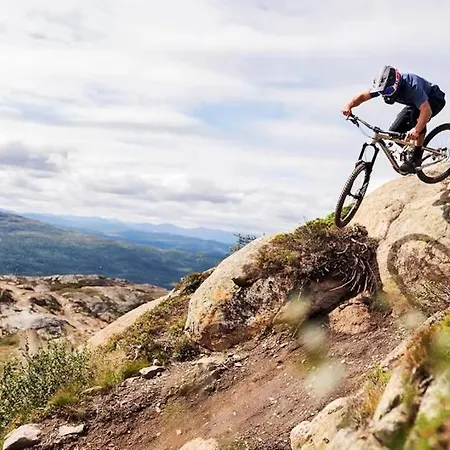 New! Fjellandsbyen Ski&bike * Hemsedal