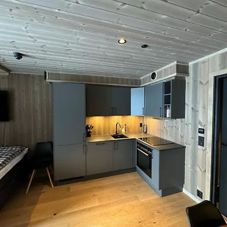 Apartment New! Fjellandsbyen Ski&bike *